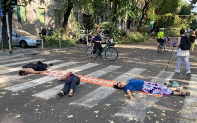 Attiviste sdraiate a terra tra gli alberi abbattuti dalla tempesta, calci e spinte degli automobilisti